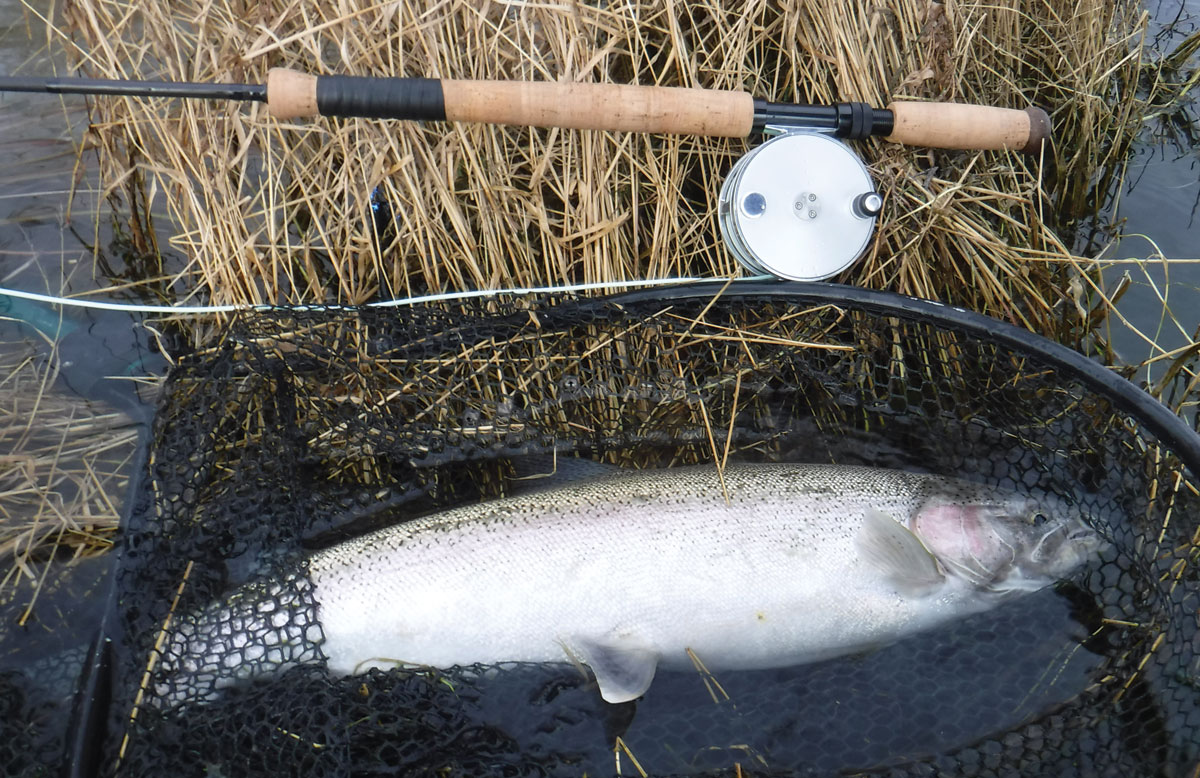 Best Fishing Rods For Alaska Editors Choice Awards