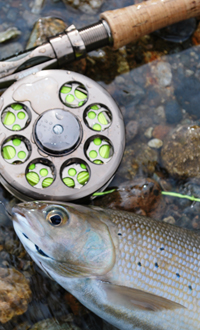 Alaska Fall Fishing Trips, 7 for September