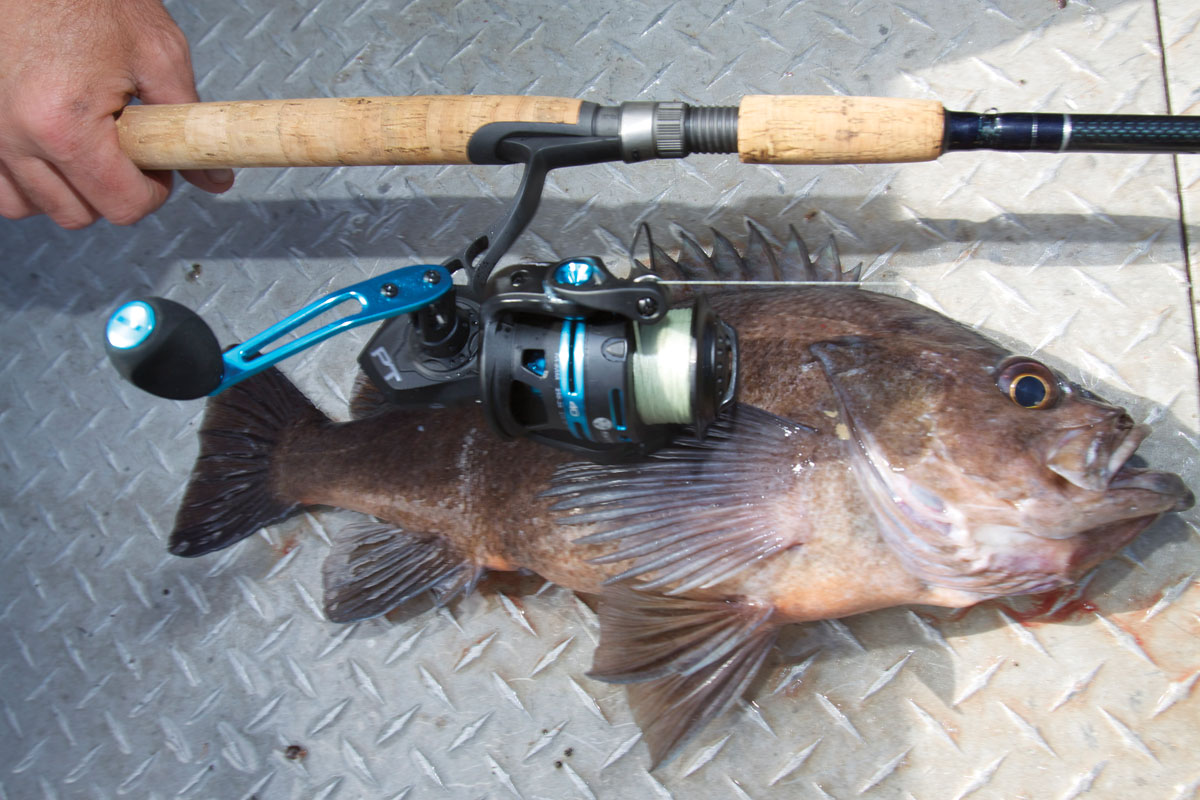 Daiwa Fuego: Best Saltwater Spinning Reel Under $100? (With MAGSEAL)