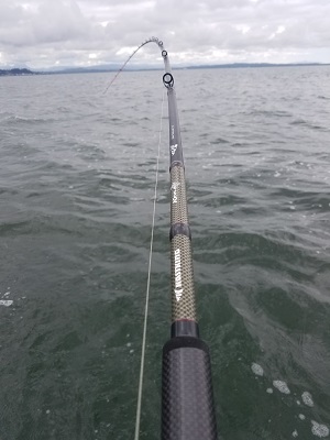 Best Overall Salmon Rod