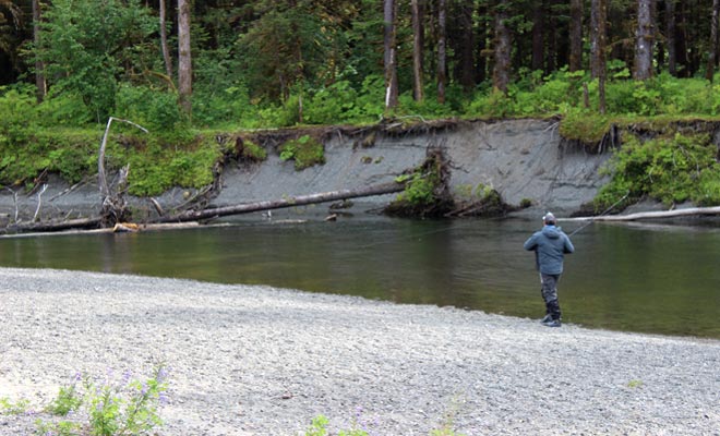 Alaska Board of Fisheries Management Process