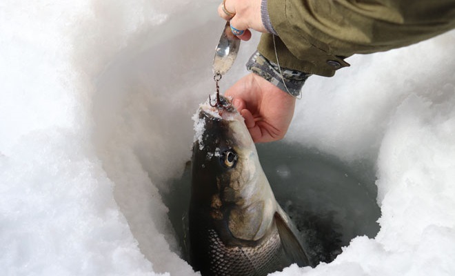 Icefishing Shelters for Alaska, Alaska Ice-Fishing Blog