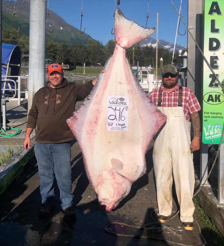 Valdez, Alaska Fishing Report 2021 | Fish Alaska Magazine