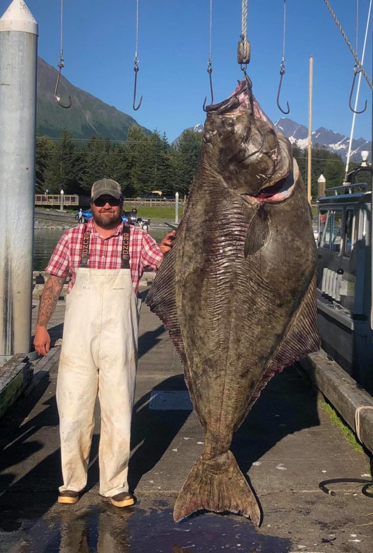 Valdez, Alaska Fishing Report 2021 | Fish Alaska Magazine