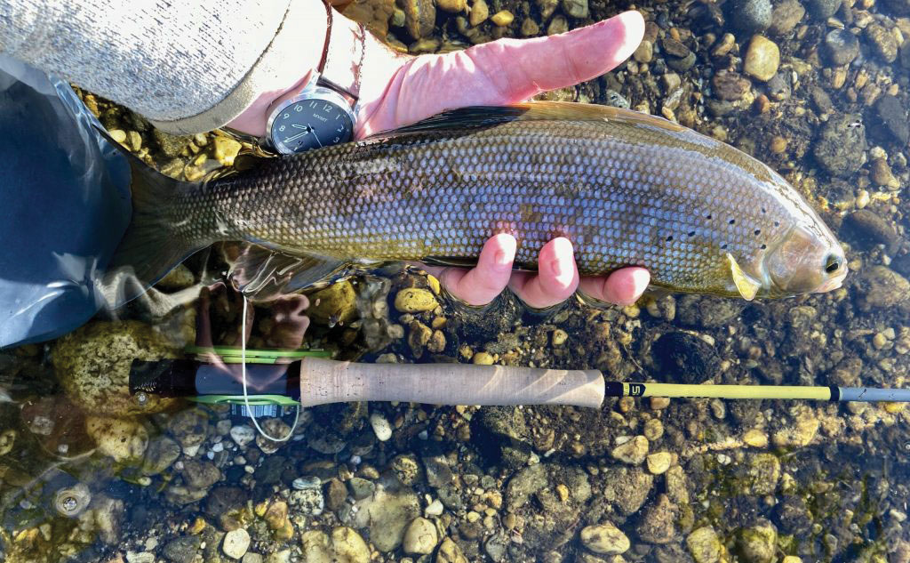 Fishing Alaska Trout & Char with Beads, Alaska Department of Fish and Game