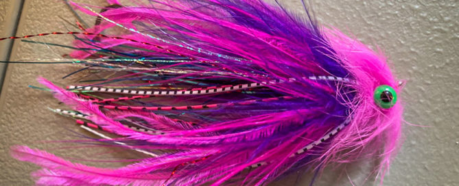 Pink Lady Atlantic Salmon Fly – Jackson Hole Fly Company