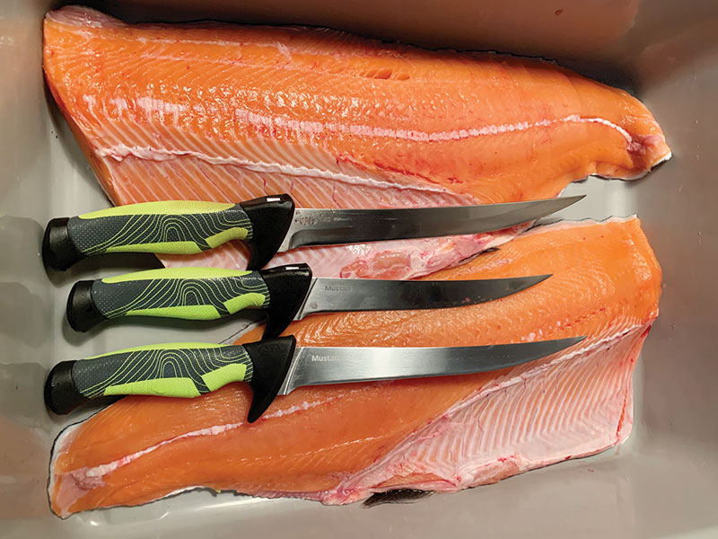 Best Knives for Cutting Fish