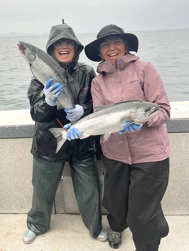 Alaska coho salmon